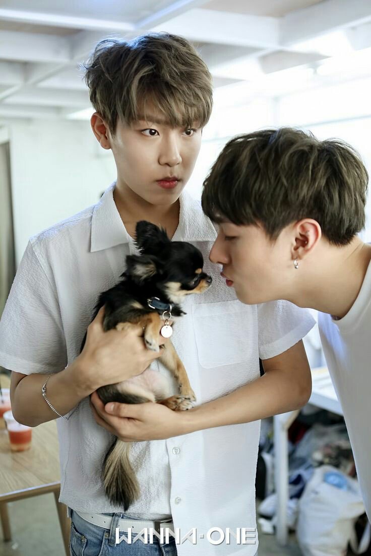 woojin: jisung momi. liat anak kedua gue sama seobie lucu kan. akhirnya leewoojin punya adek.