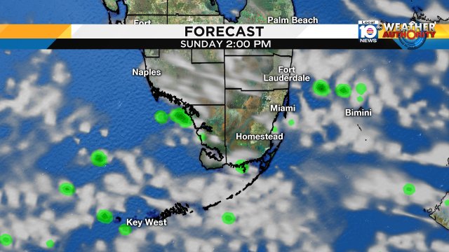Primarily dry & sunny again for Sunday. While a nice day for the beaches, it will again be very hot. https://t.co/XxgcuHykWN