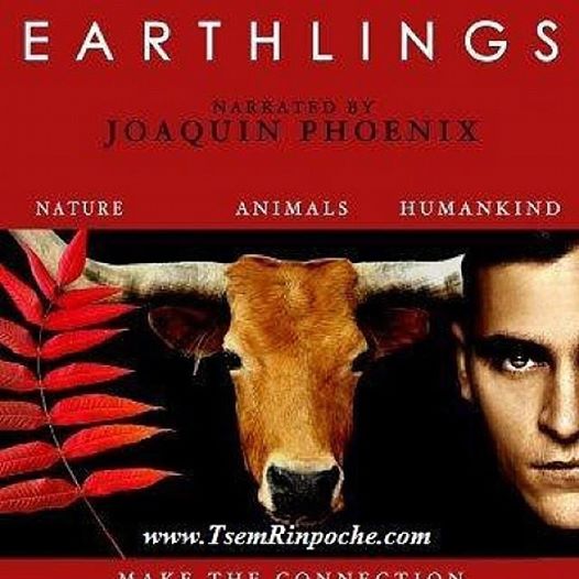 erickksiow's tweet photo. #Earthlings - https://t.co/tidoWdsGAE
#vegetarian
#vegan
#killing
#Animals
#meatless
#healtthy
#eat
#food
https://t.co/ukynLWJaBo https://t.co/RB8gN3gcev
