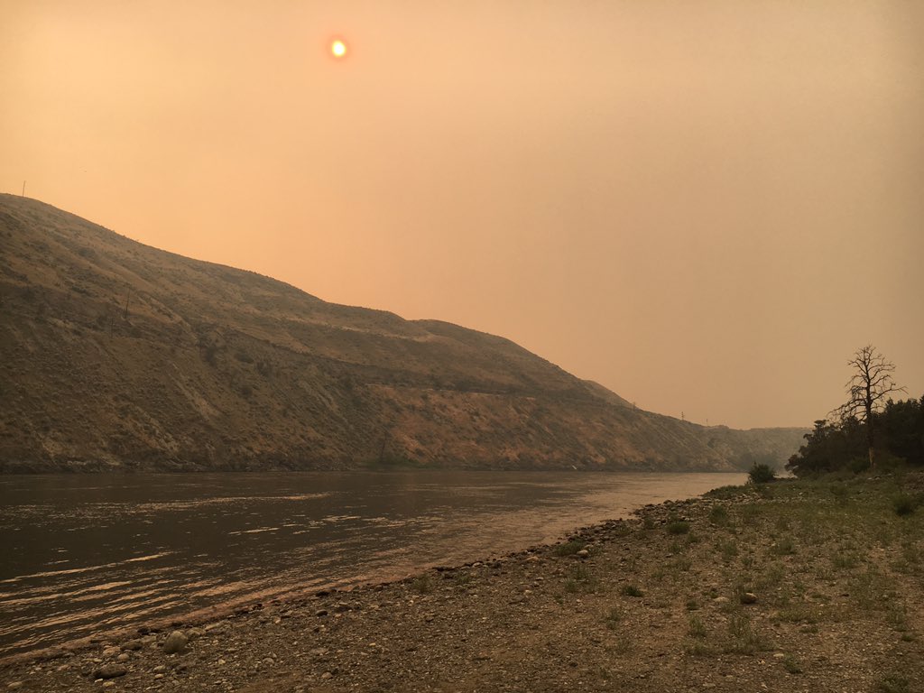MBernardoNews's tweet photo. Campers at #JuniperBeach Provincial Park between #CacheCreek and #Savona say they've never seen it so quiet on a long weekend. @NEWS1130 https://t.co/61etfzaKtv