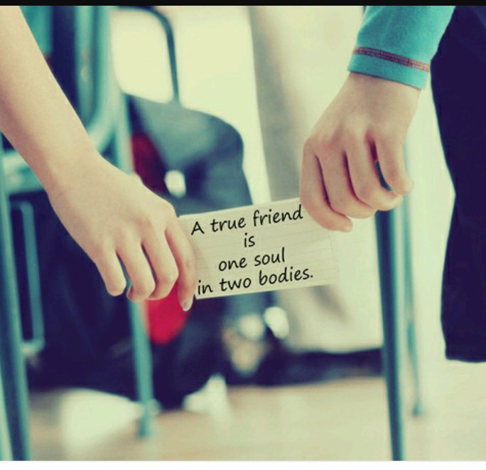 Happy friendship 
      😍😍😍✌✌💏💑