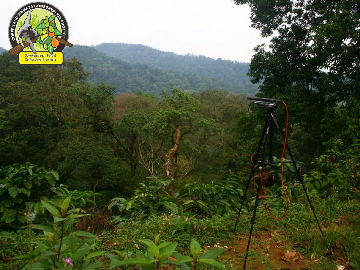 swaraOwa's tweet image. mungkin #hutan sedang berbicara
#natsound #javarainforest 
soundcloud.com/swara-owa/soun…