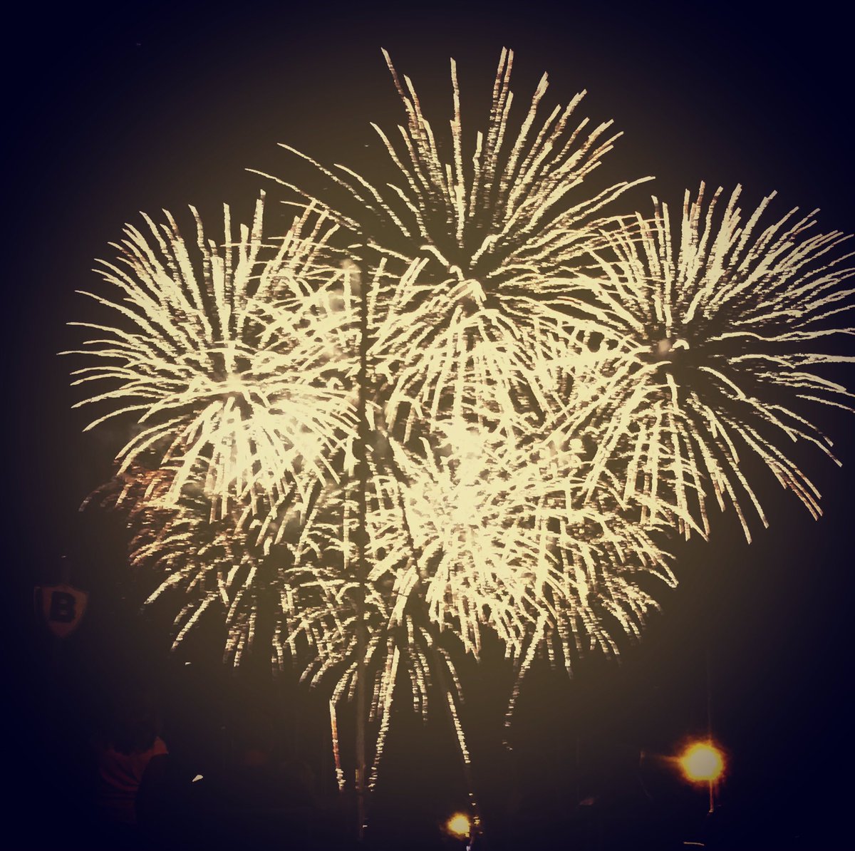 LauraStew's tweet photo. Amazing fireworks tonight. Celebration a bit late this year because of flooding. #worththewait #kelowna #canada150th https://t.co/qAs6BXkTb9