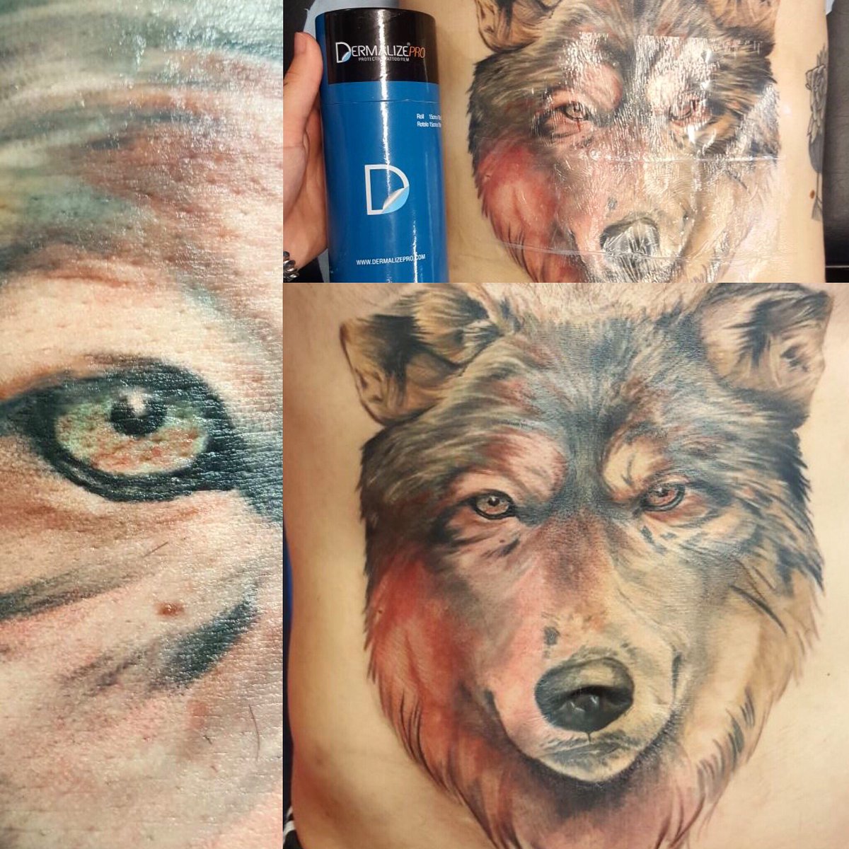 willylangford's tweet photo. Finished this wolf earlier. Bit swollen still. @WorldFamousInk @dermalizepro #tattoos #ink #stomachtattoo #art #suffolk #needhammarket https://t.co/2rWnxMBBeR