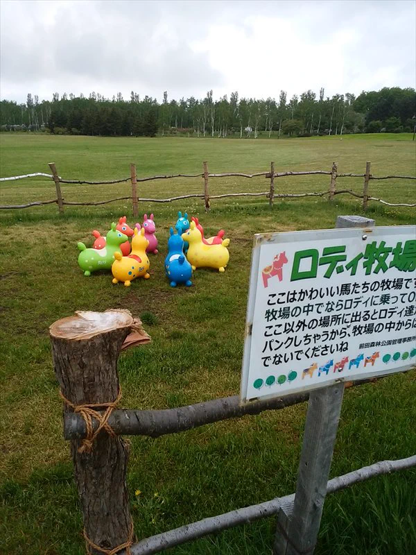 ロディ牧場を見れば、子供の個性がわかっちゃう？ww並べ方が色々でかわいいww