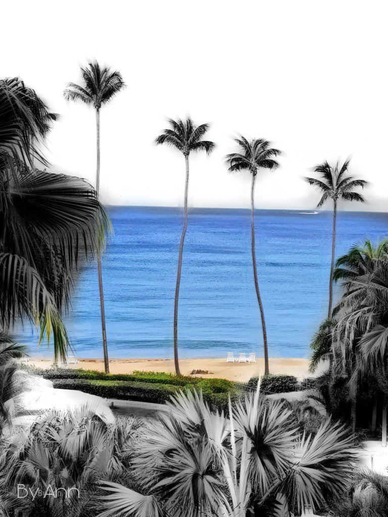 AnniePR681's tweet photo. Blue... @500pxrtg @miprv #PuertoRico #editing #oleoeffect https://t.co/Dele18KHcI
