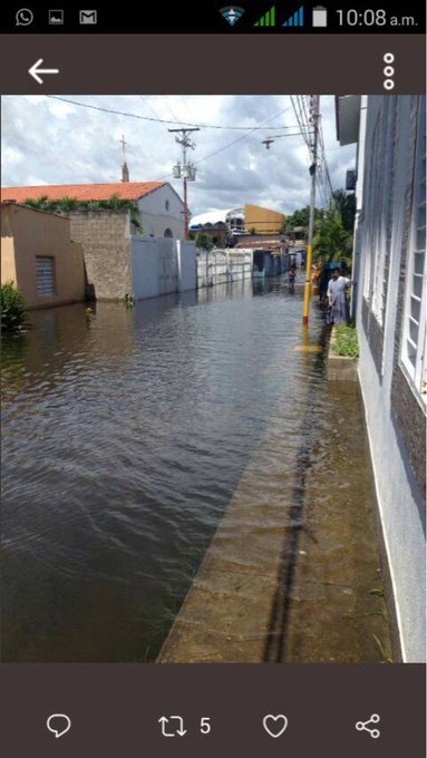 Ver imagen en Twitter