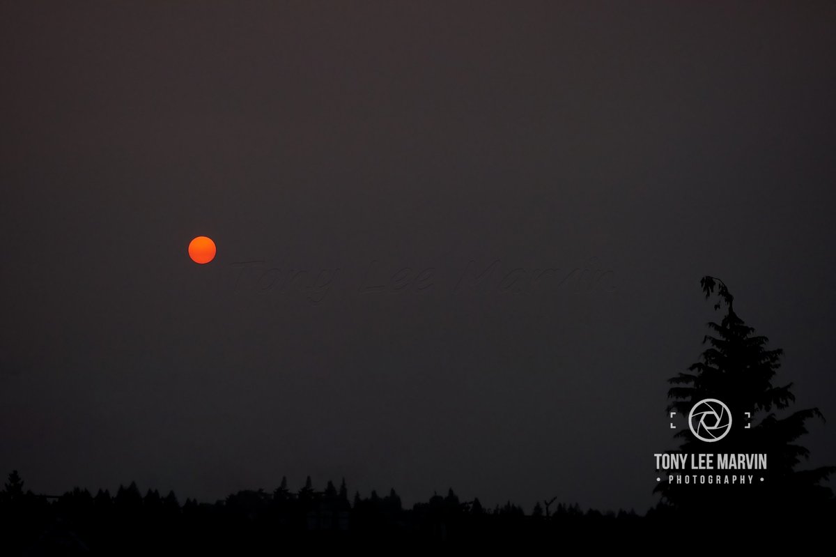 TLMPhotographyw's tweet photo. From our Backyard in #PortAngeles #Washington #Bloodredsun #Sunset #Bloodsunset #Photography #500pxrtg 🌌💉 @KING5Seattle ☀️🌆 https://t.co/vLh6Uv869j