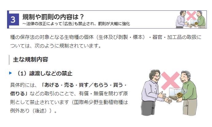 @meccha_zoo 昨日フジテレビの番組に希少種のハシビロコウを貸し出されていましたが愛護法違反にはあたらないのですか？ 法律以前に長時間移動や人を驚かすために使用する事はハシビロコウにはストレスではないのですか？ タレントに噛み付くような動作をしていましたがあれは威嚇ではないのですか？ https://t.co/9sWm5TjU3F