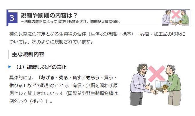 @meccha_zoo 昨日フジテレビの番組に希少種のハシビロコウを貸し出されていましたが愛護法違反にはあたらないのですか？ 法律以前に長時間移動や人を驚かすために使用する事はハシビロコウにはストレスではないのですか？ タレントに噛み付くような動作をしていましたがあれは威嚇ではないのですか？<a class="tags" target="_blank" title="On Twitter" href="/?out=eyJ0eXAiOiJKV1QiLCJhbGciOiJIUzUxMiJ9.eyJpYXQiOjE3MjMyMDc2NTksImlzcyI6InR3cG9ybnN0YXJzLmNvbSIsIm5iZiI6MTcyMzIwNzY1OSwiZXhwIjoxNzU0NzQzNjU5LCJyZWRpcmVjdF91cmwiOiJodHRwczovL3R3aXR0ZXIuY29tL21lY2NoYV96b28ifQ.tJwW5nqBE3aZFTdkq8GYtPp5TJykL35j1kTWfxFY9OEBGJBvdV1nswtRkqekoGyo-qGCoJbeR4S6DqxYf6qWZQ">@meccha_zoo</a><a href="/tag/%E3%82%A4%E3%83%AB%E3%82%AB%E3%81%AE%E3%83%8F%E3%83%8B%E3%83%BC%E3%82%92%E5%BF%98%E3%82%8C%E3%81%AA%E3%81%84"class="tags"><span>#イルカのハニーを忘れない</span></a><a href="/tag/%E3%82%A4%E3%83%AB%E3%82%AB%E3%82%B7%E3%83%A7%E3%83%BC%E3%81%AB%E3%81%AF%E8%A1%8C%E3%81%8D%E3%81%BE%E3%81%9B%E3%82%93"class="tags"><span>#イルカショーには行きません</span></a>