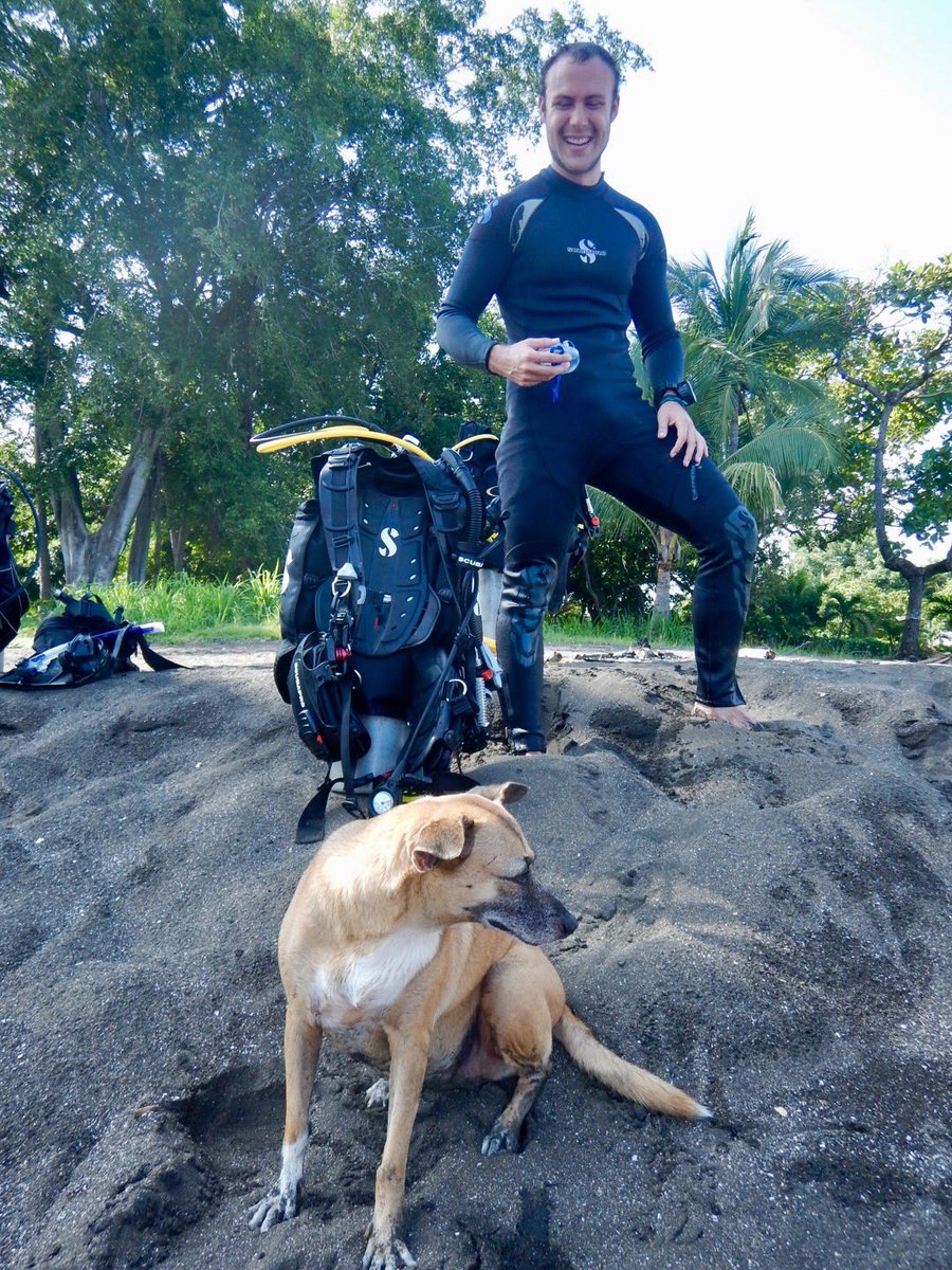 Scubabren67's tweet photo. Scuba and animals....#scubadogs? https://t.co/RV7pW0uTyG
