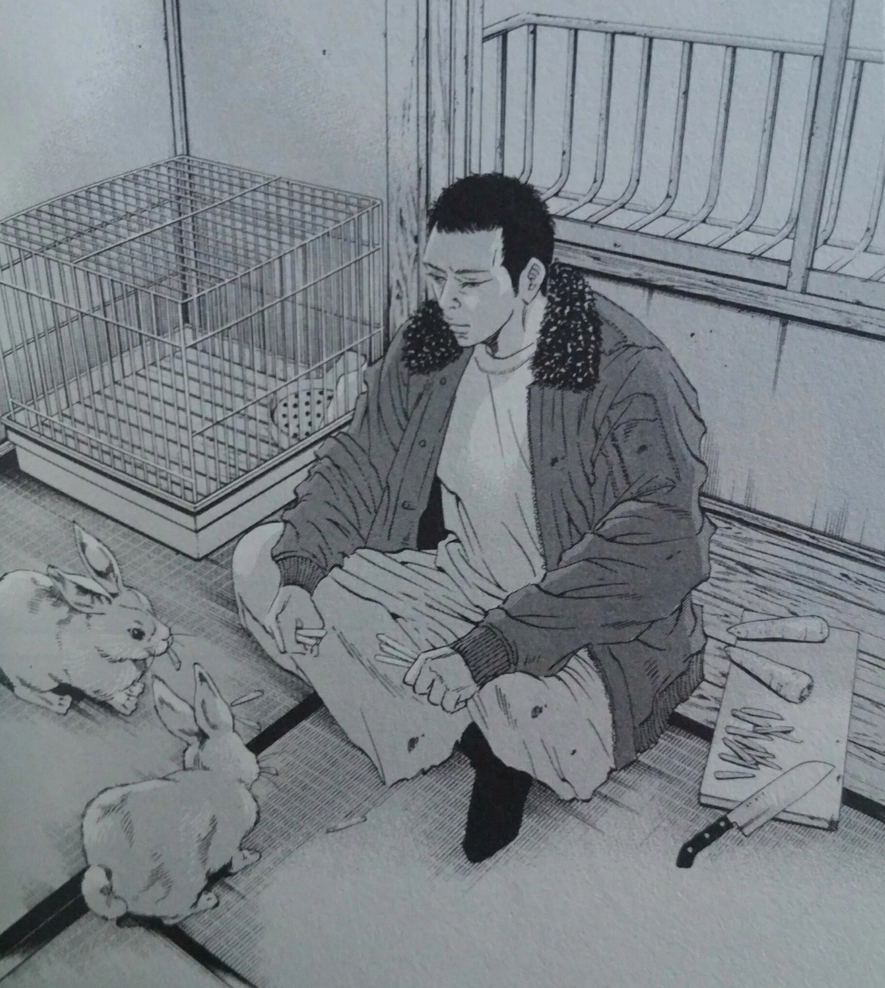 活動歴および当時の関連ビジュアル記録