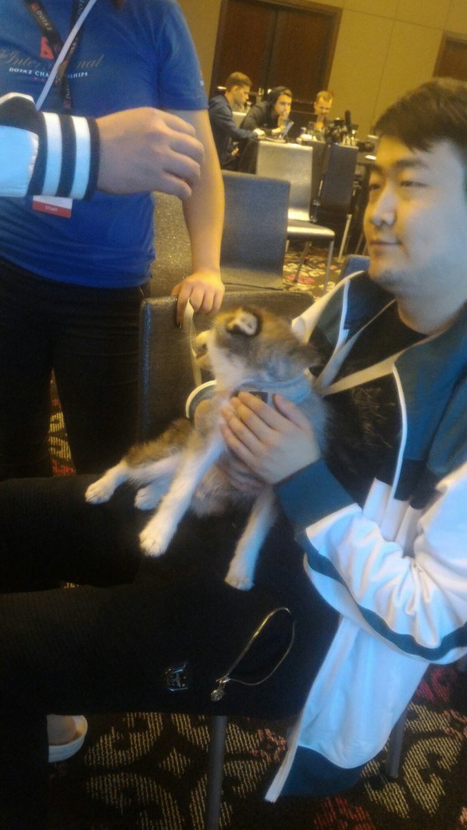 Dotaland's tweet photo. rOtK and puppy 🐕 https://t.co/B9YIqdTmKm