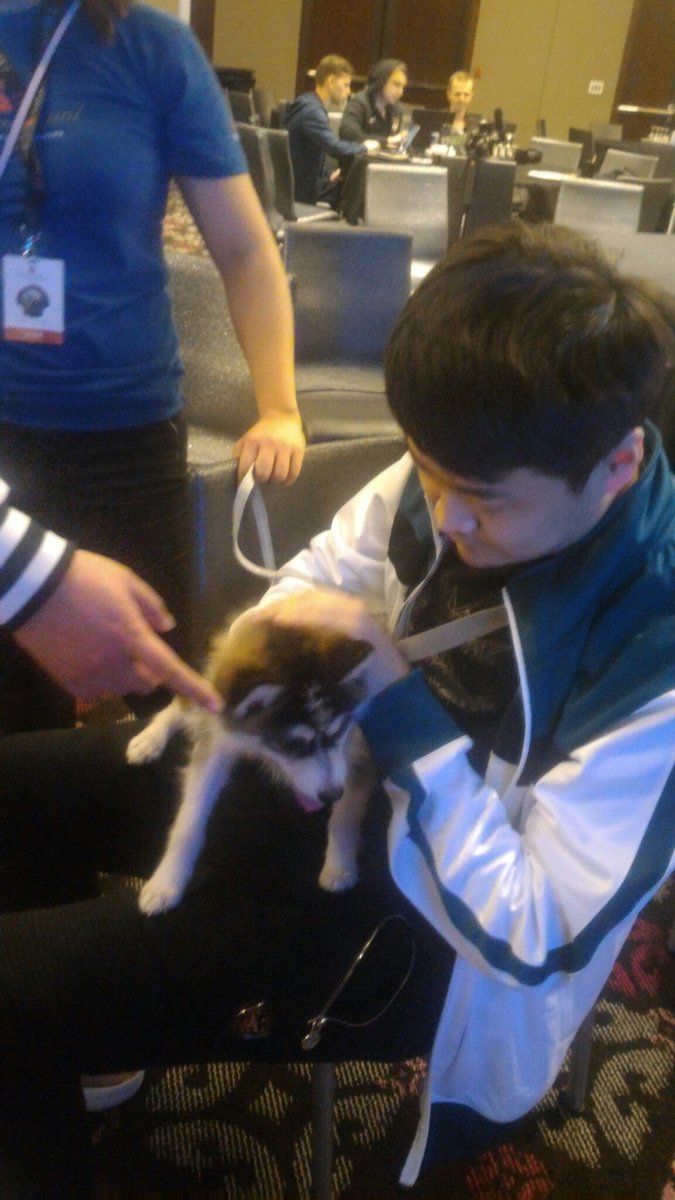 Dotaland's tweet photo. rOtK and puppy 🐕 https://t.co/B9YIqdTmKm