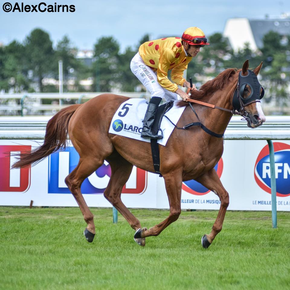 ACHorseRacing's tweet photo. Take a moment to remember GOLD-FUN, who was sadly lost in last year's Maurice de Gheest. #champion #goldfun #deauville https://t.co/BByBUA1QJs