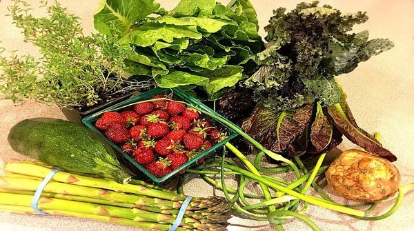maryslocalmarke's tweet photo. YAY!! My 1st CSA Delivery! Community Supported Agriculture Goodness | Mary's Local Market | https://t.co/Q3hezLoufU #CSA #CSAbox #organicf… https://t.co/v3JpfeDqIL