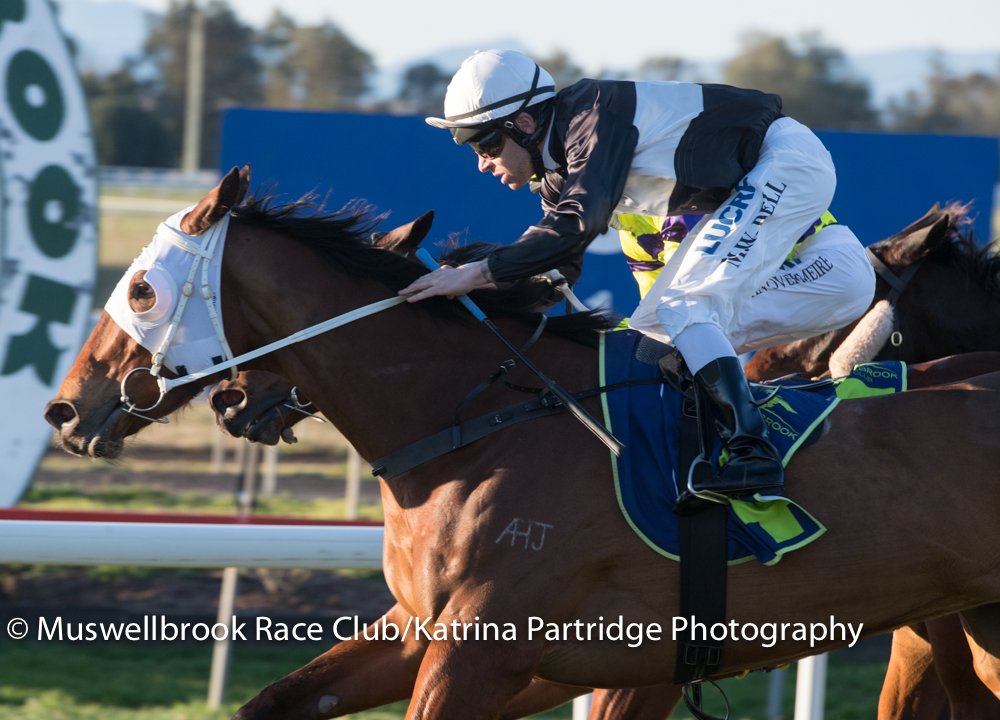 Muswellbrook Race Club tweet media