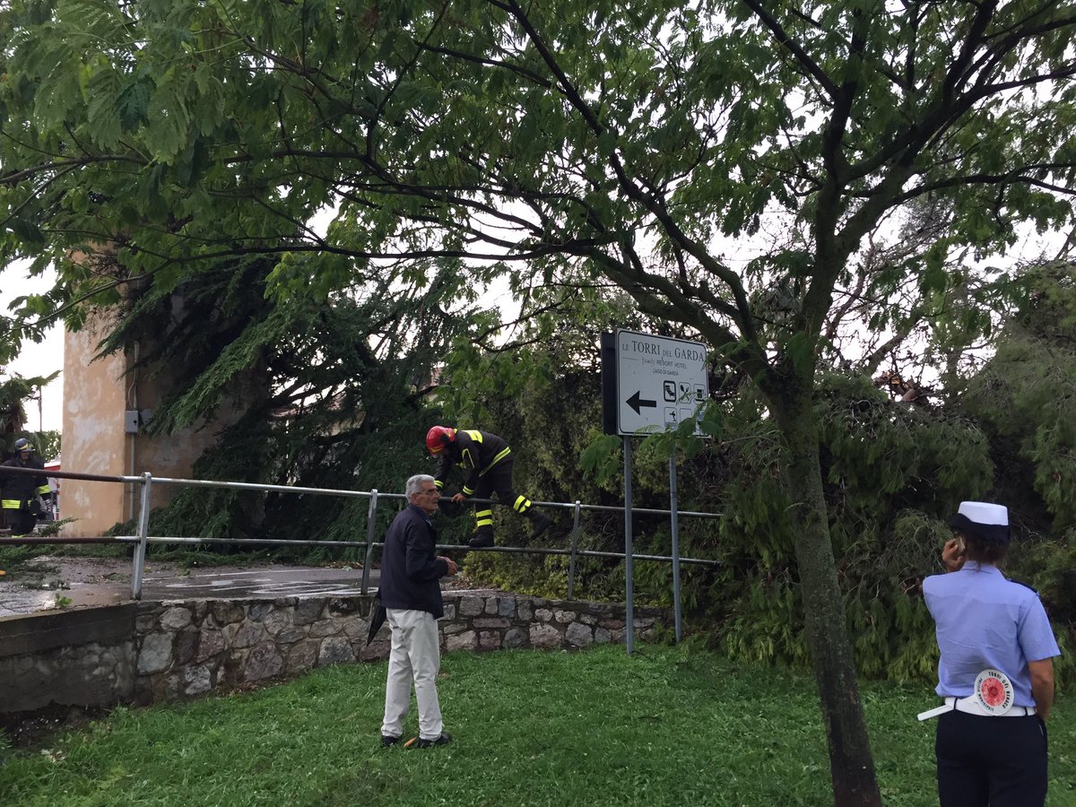 federicovr's tweet photo. #albisano @larenait albero caduto su auto ma fortunatamente senza conseguenze https://t.co/mUm2NEEfNI