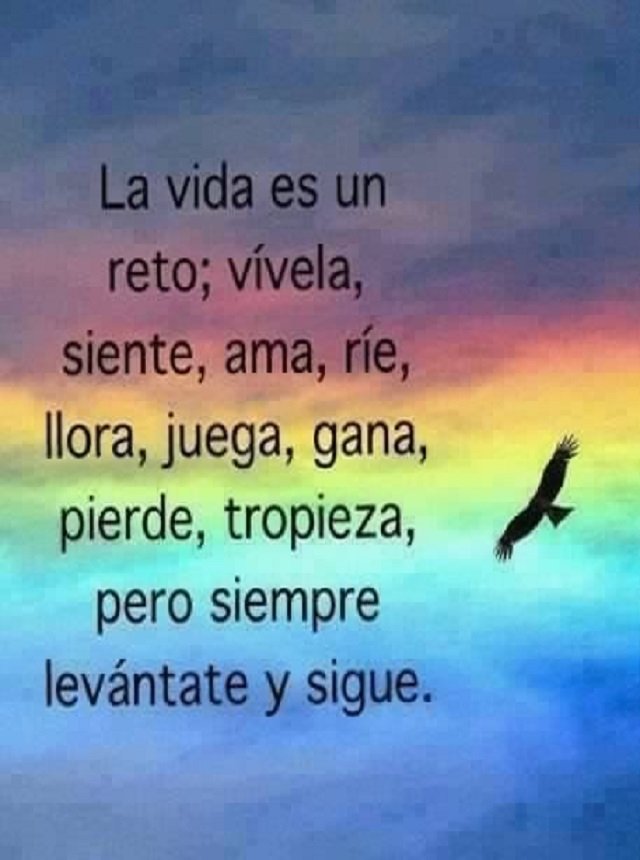 Wilfredo Ayala Delga (@delga_wilfredo) on Twitter photo 