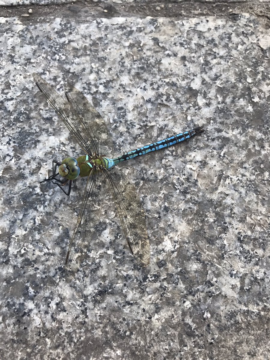 La rencontre du matin