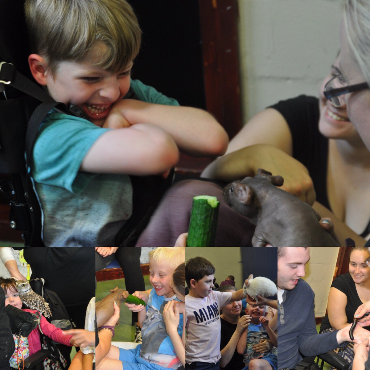 A big thank you to Angie's Animal Antics for showcasing some of her animals. The kids absolutely loved them #WeLoveCHAOS17