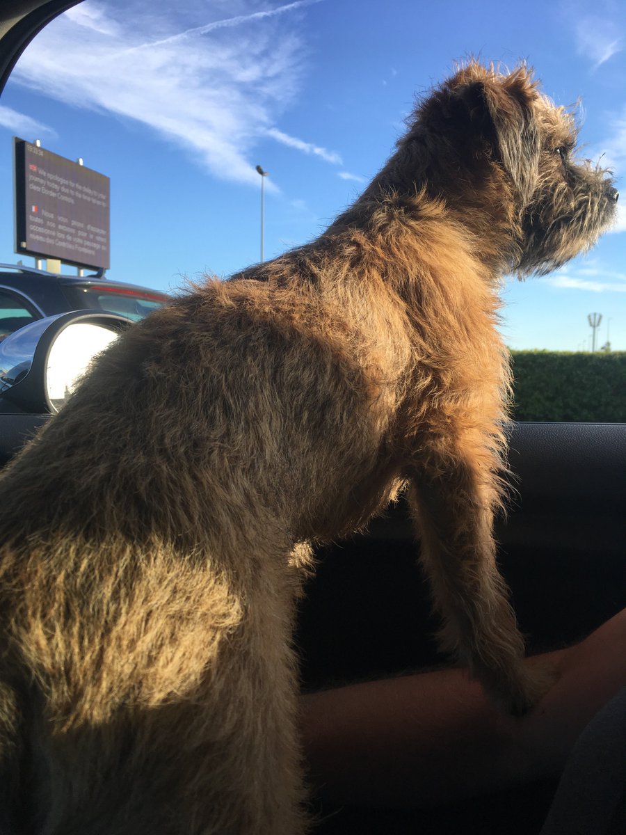 ktbolin4's tweet photo. @LeShuttle Dave had a brill first holiday, thanks v much. Here he is waiting for the train. 👍🏼Cheers again guys https://t.co/3V3VsLPGuJ