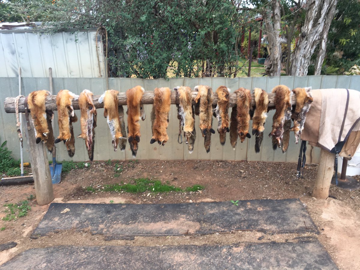 george carroll tweet media