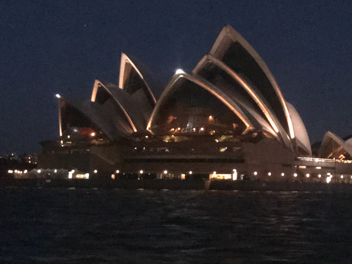 chemdry_s's tweet photo. #Sydney at night #easternsuburbs ferry line https://t.co/w1grX8oHsz
