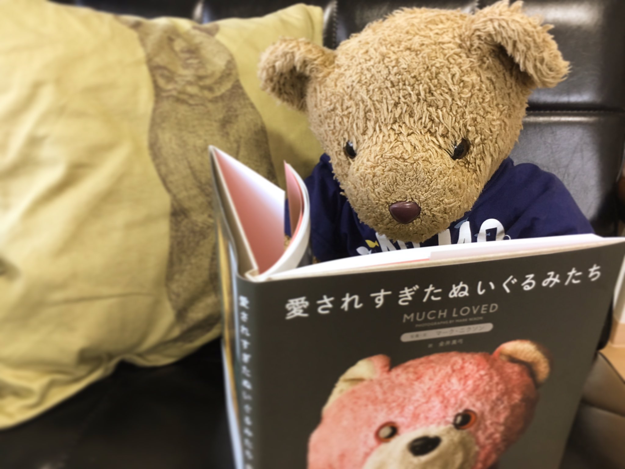 愛されすぎたぬいぐるみたち Twitter Search Twitter