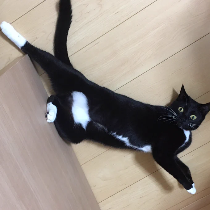 今日は更新お休み 