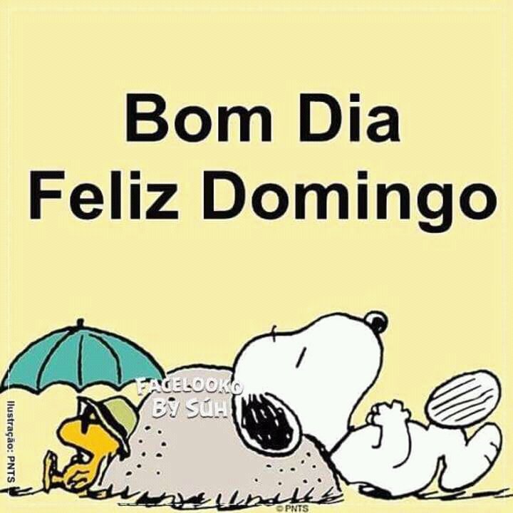 José Lino *TIM BETA* (@joslinooliveir1) on Twitter photo 