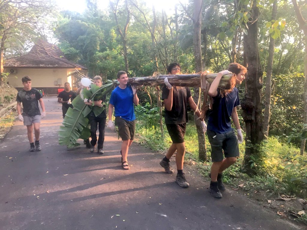 AGSWChallenge17's tweet photo. Enrichment session. The boys are hiding treats in the banana trees, to give the Orangutans a challenge tomorrow at feeding time. https://t.co/LX5WCEOlcx