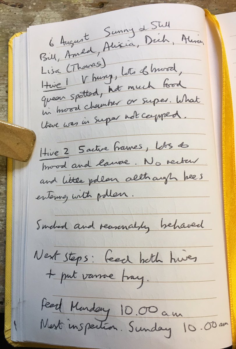 bee7forestgate's tweet image. 