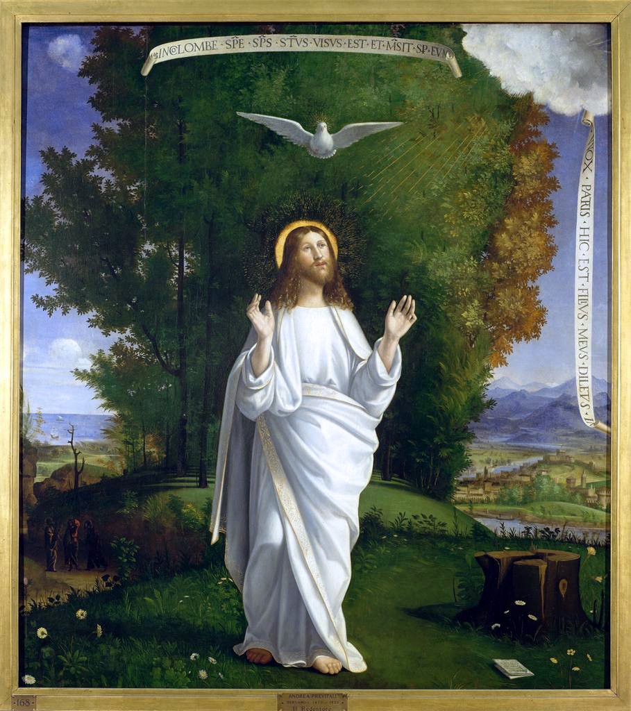 jenkinsronny's tweet image. Jesus touched them, saying, Rise, and have no fear. And when they lifted up their eyes, they saw no one but Jesus. Mt 17:8 #Transfiguration