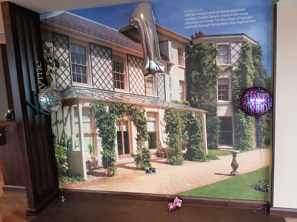 Benjimiddleton's tweet photo. London Orpington premier inn turns 1 today!!! @StephyBunnihop @ishutch29 @Quin_Holtz https://t.co/Hqwh20yzLu