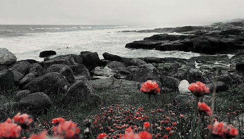 ❝No sé por qué te empeñas en ser como los demás si tú has nacido para destacar.❞  

【 Bárbara Kingsley's Chronology 】