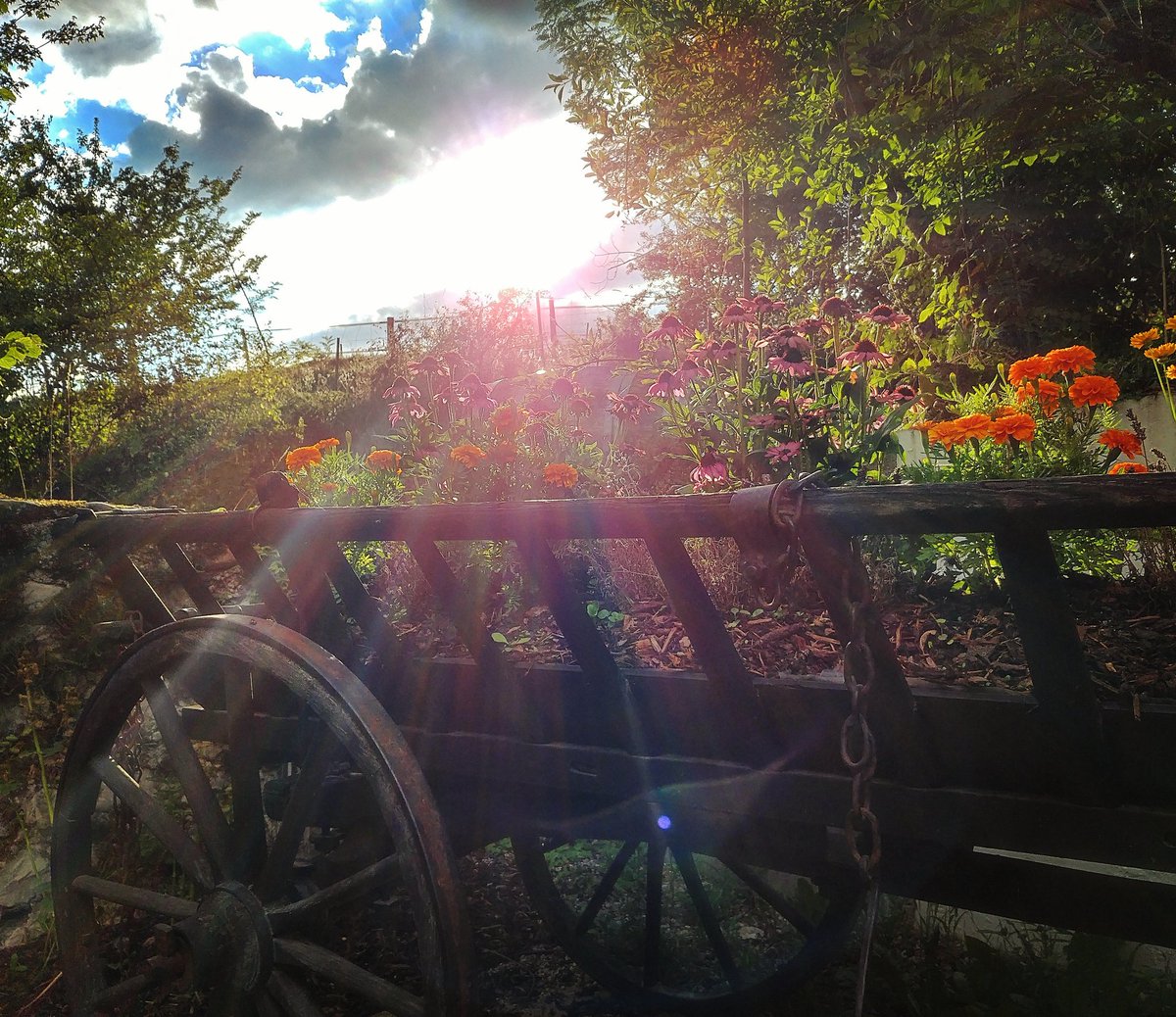 mdeshusses's tweet photo. Bon #weekend depuis #LesGranges de #Malval ☀🍷🍔 #Dardagny #Genève @GeneveTourisme @MySwitzerland_f https://t.co/enwdOMci5f