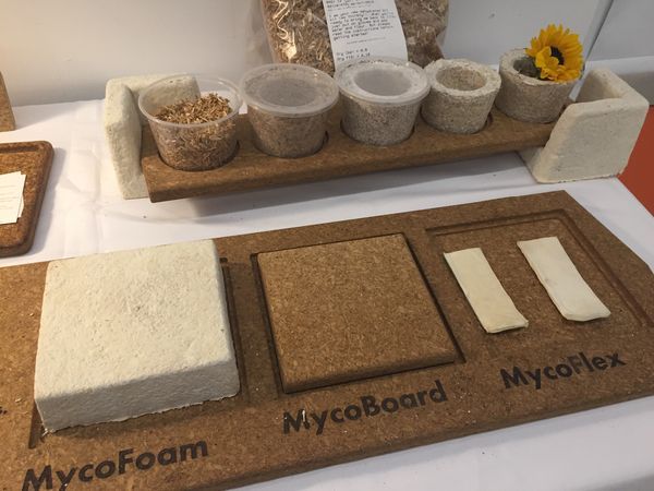 It was about time! Microbial #manufacturing is going mainstream! buff.ly/2v8K3OO