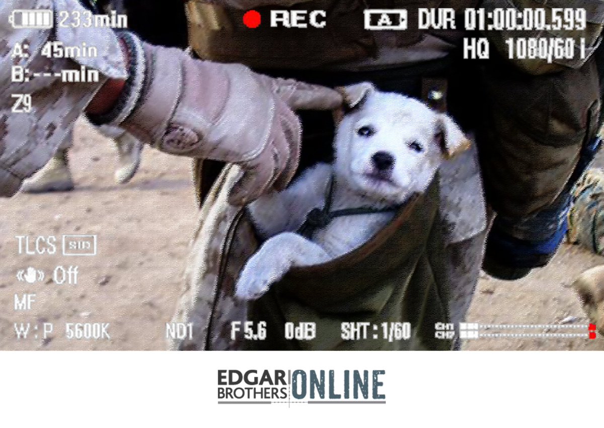 It's #FriendshipDay and we'd like to thank you for supporting us! Here's a photo we thought you may appreciate... 🐶