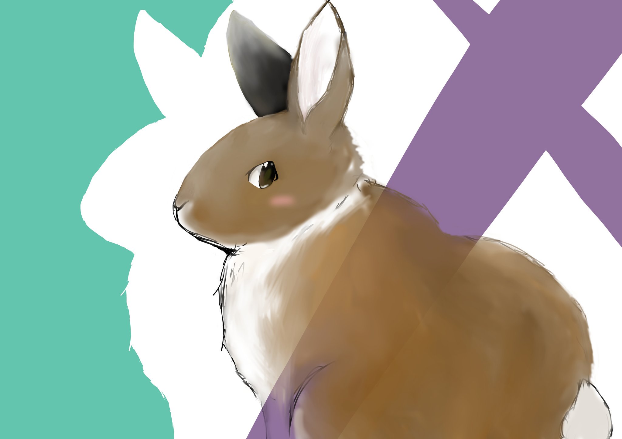 Twitter पर コロン丹羽 うさぎイラストとか 描いてます 自己紹介的なヤツ うさぎ うさぎイラスト うさぎ好きさんと繋がりたい ウサギ Twitter पर コロン丹羽 うさぎイラストとか 描いてます 自己紹介的なヤツ うさぎ うさぎイラスト うさぎ好きさんと繋がりたい ウサギ