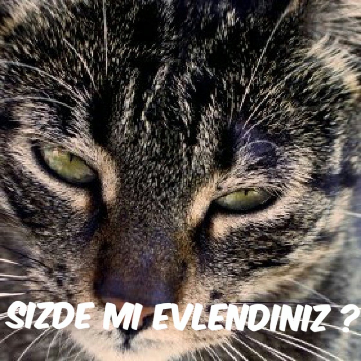 punchisii's tweet photo. Lan sizde mi evlendiniz  ? 😱😕😕 https://t.co/FkP0QzceJ6