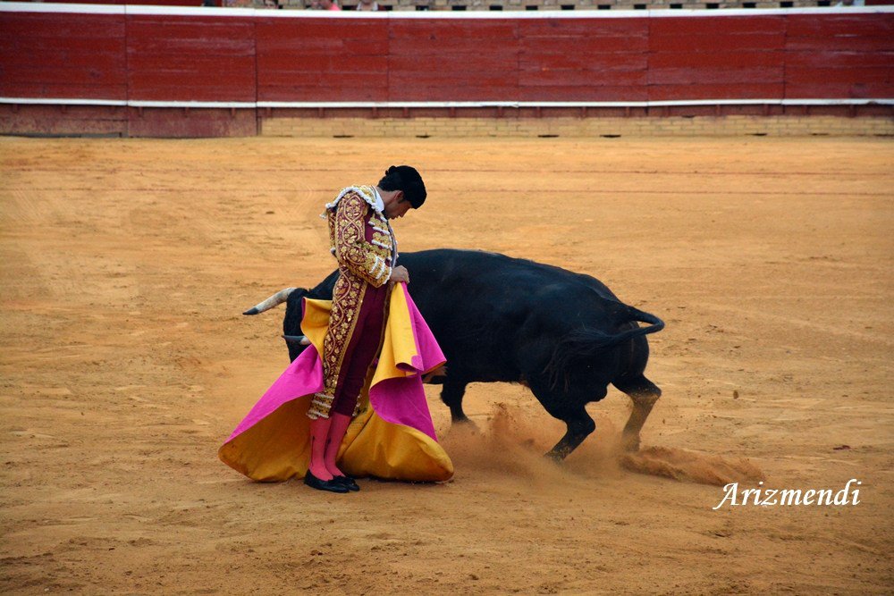 DavDeMiranda's tweet photo. Momentos de la tarde de Huelva donde pude cortar dos orejas!! https://t.co/OU9KMNpE8A