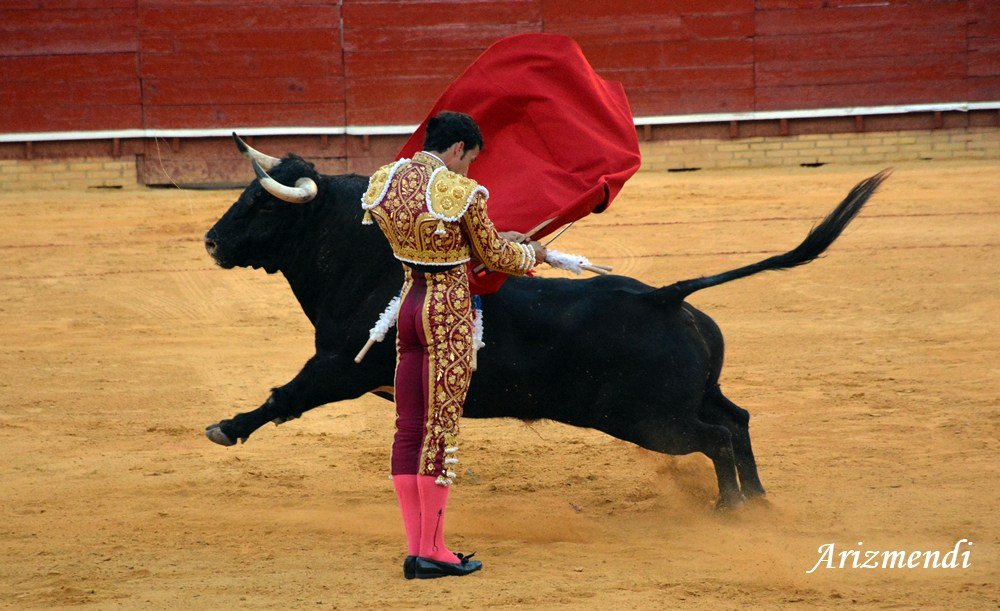 DavDeMiranda's tweet photo. Momentos de la tarde de Huelva donde pude cortar dos orejas!! https://t.co/OU9KMNpE8A
