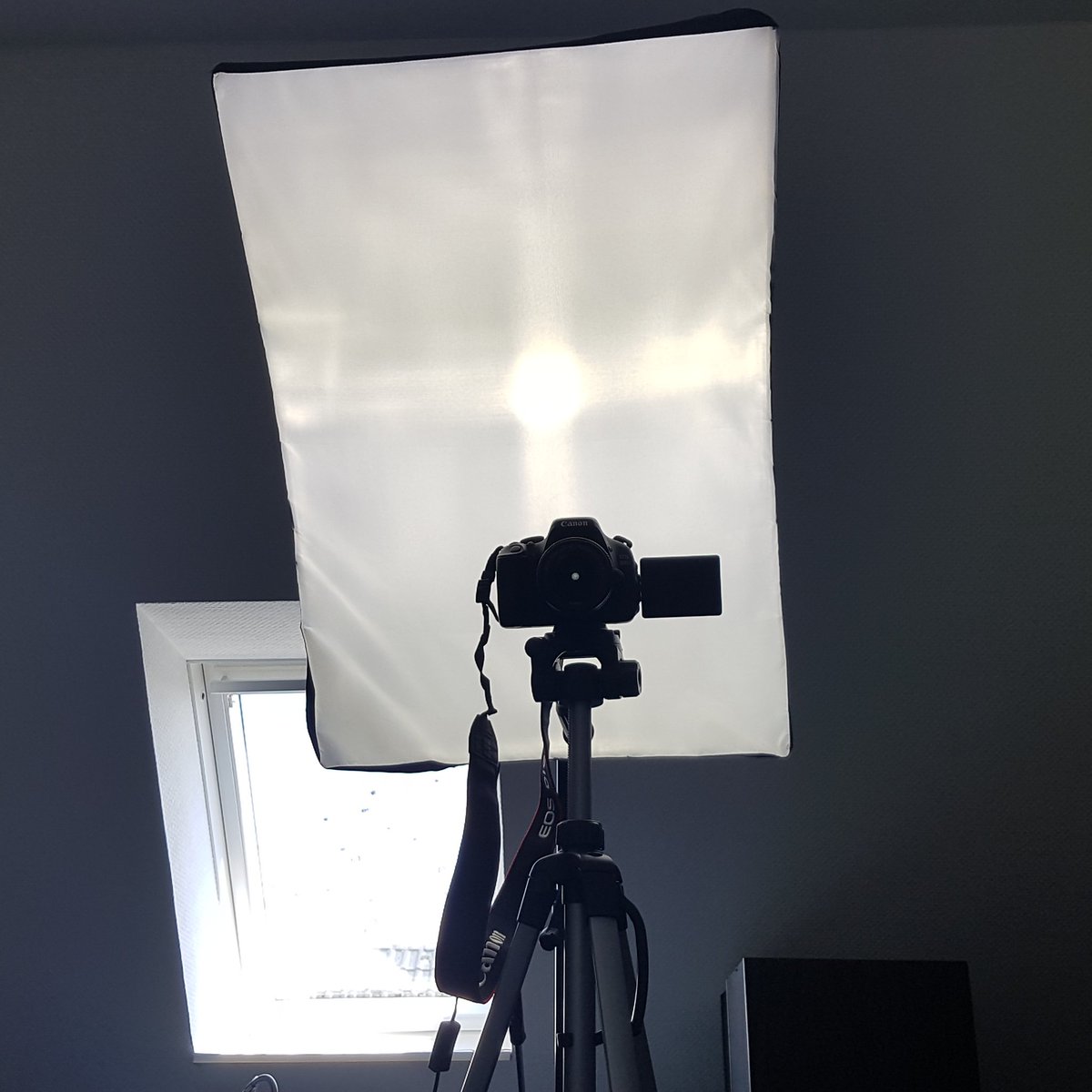 Wollte ein Video machen, aber Papa lässt mich nicht... 😑 😧