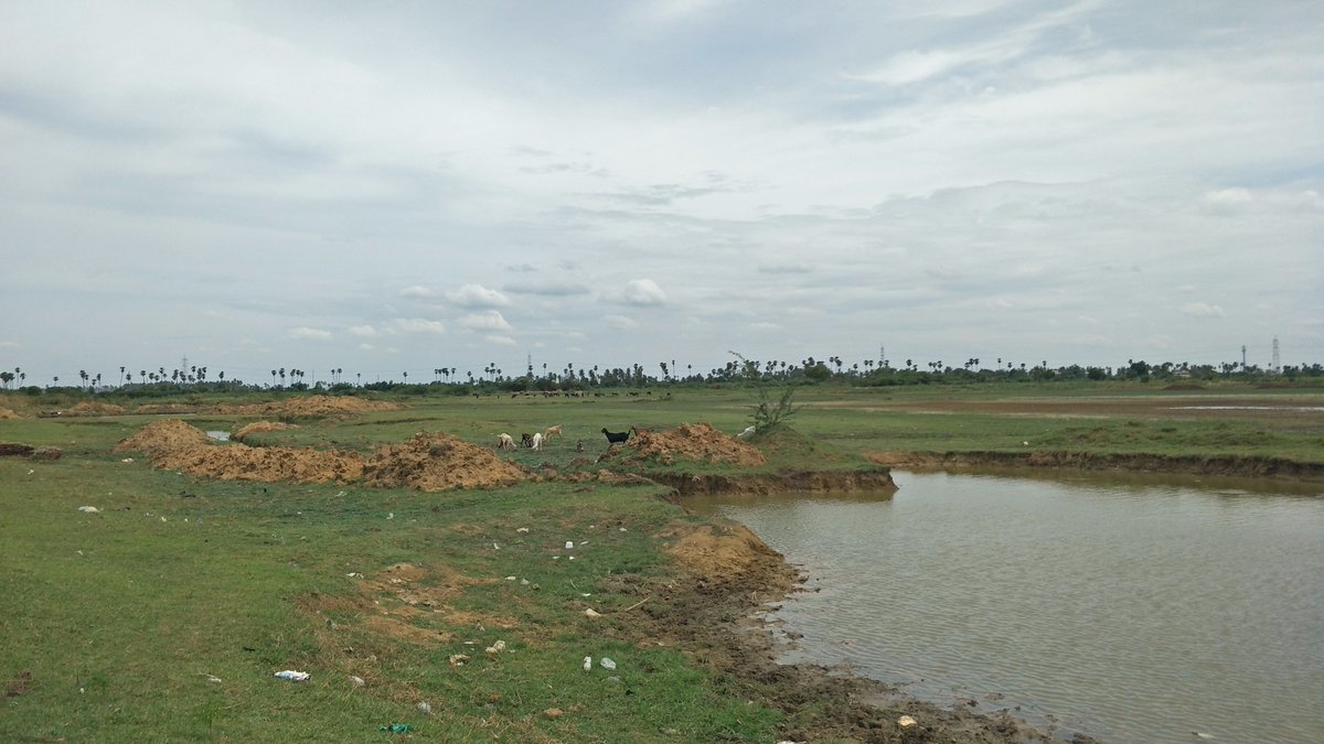 water_wct's tweet photo. On Saturday (05/08/2017) the team proceeded to Sekkadu lake located in @Thiruvallur district. https://t.co/RWH5eC0xRj
