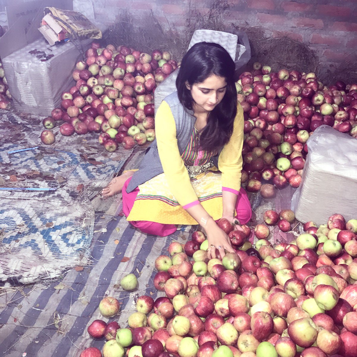 PrajwalBusta's tweet photo. #Applesession 🍎 begins👍🏻 #Home .. ..#Village #apple 🍎 🍎 #Session_work_going_on 🌹#USApeople https://t.co/EcTwfwve3e