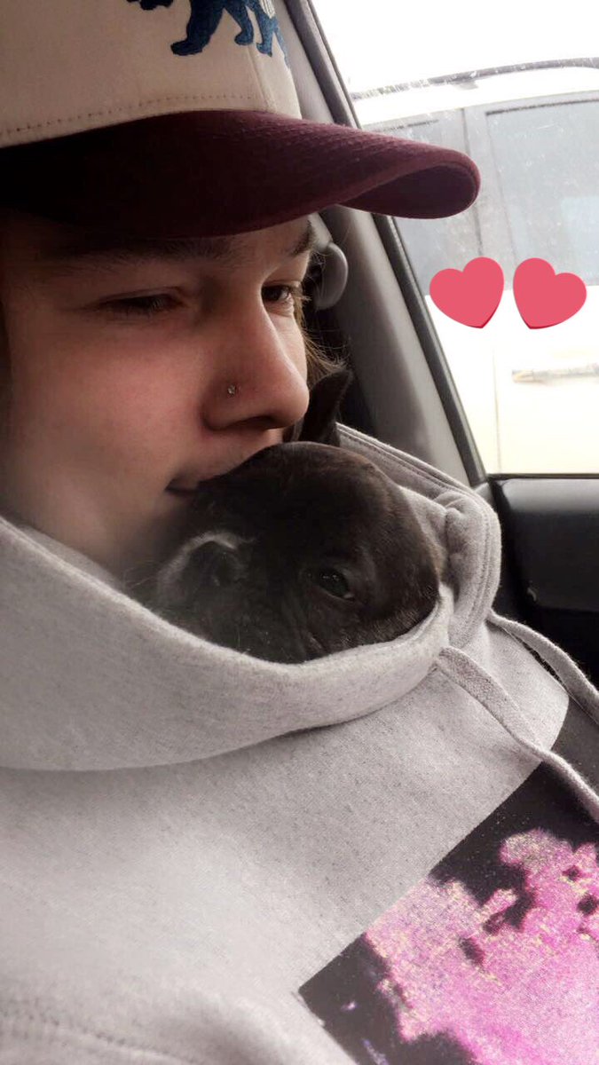 chanchansko's tweet photo. My bb's 💕 https://t.co/3u2CUngZ89