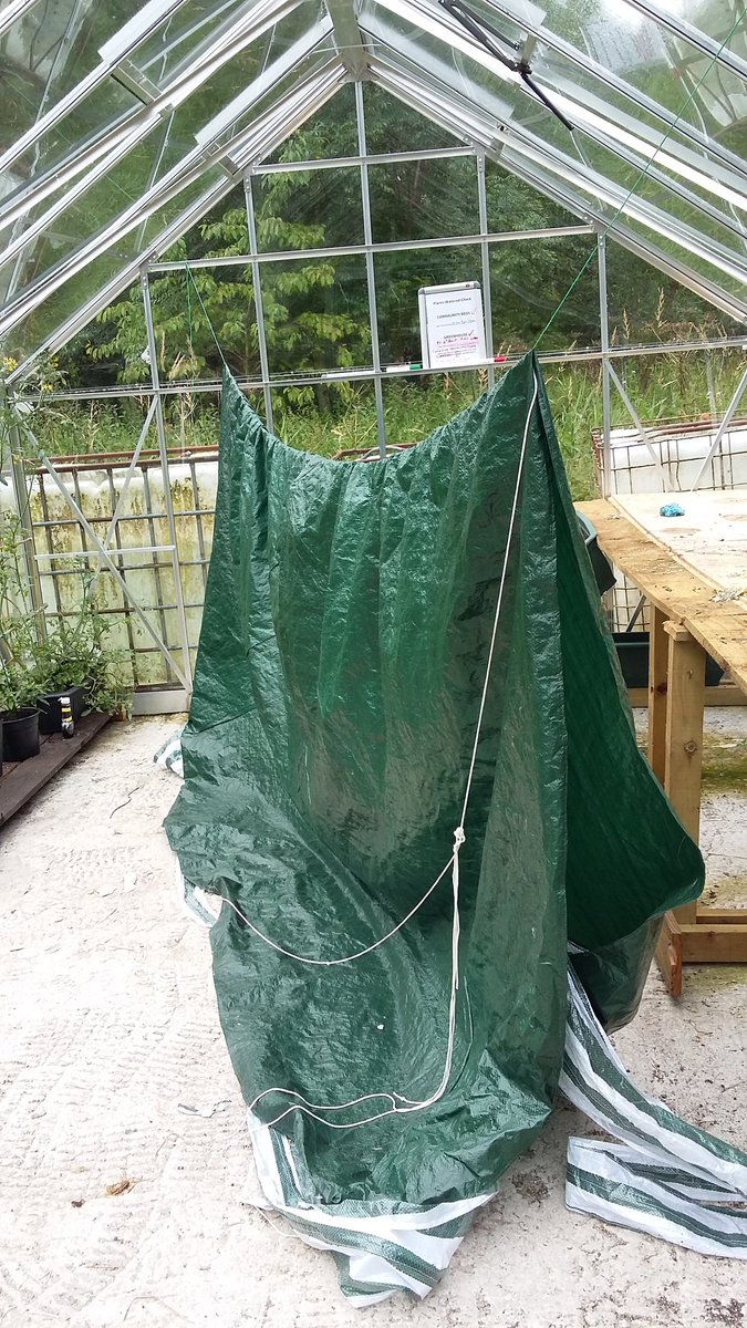 Asslossgarden2's tweet photo. The  AC garden  in the  steady rain this   morning. plus drying frame! Bees still active @howardfarm @AyrshireLarder .+thanks  for all help https://t.co/8bM4xuNirQ