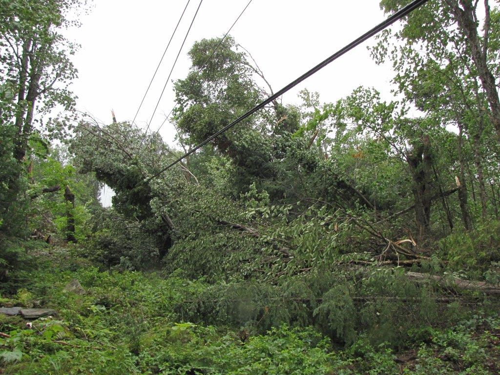 HydroOne's tweet photo. Trees down in Huntsville area following Friday’s storm. Crews are working to restore power to remaining customers as quickly as possible. https://t.co/nyymKAz5WG