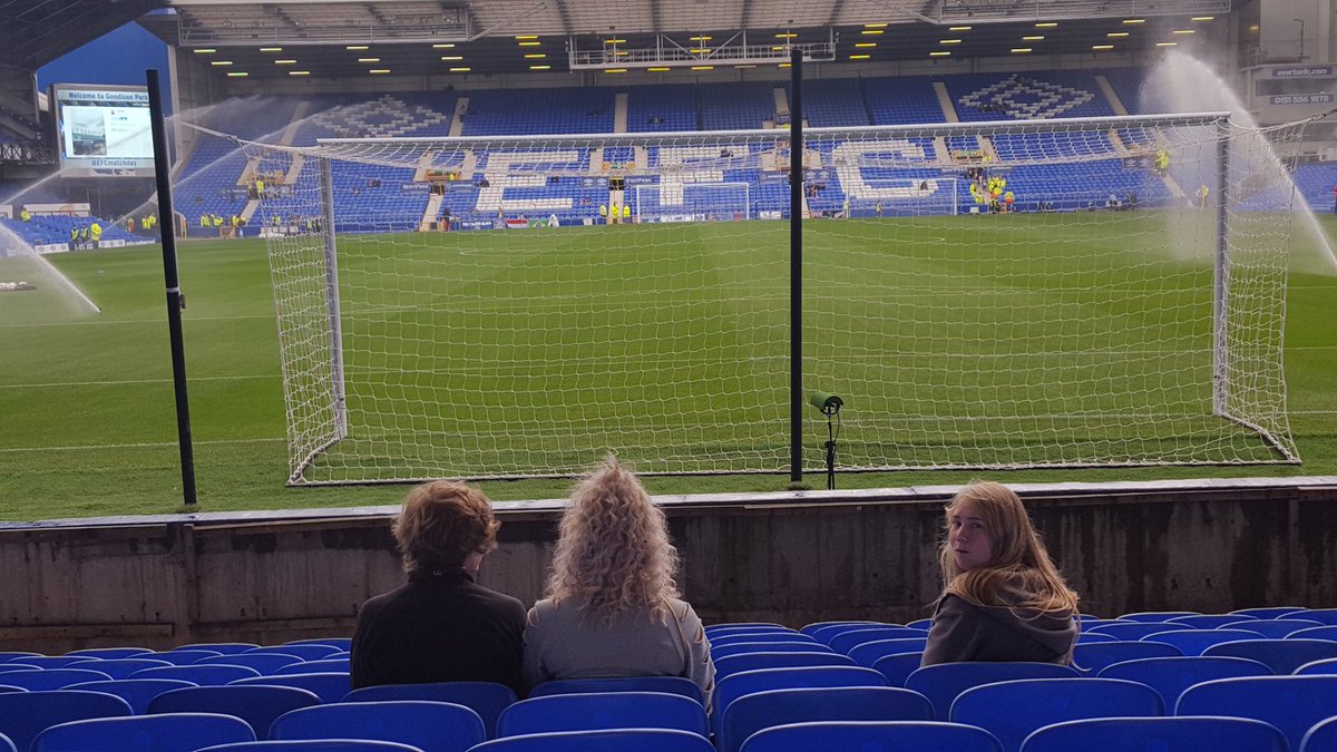 Sootygirl4's tweet photo. Yay. All ready to watch the mighty blues #evertonmatchday https://t.co/kzjoRC6Y5q